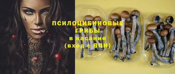 а пвп мука Абаза