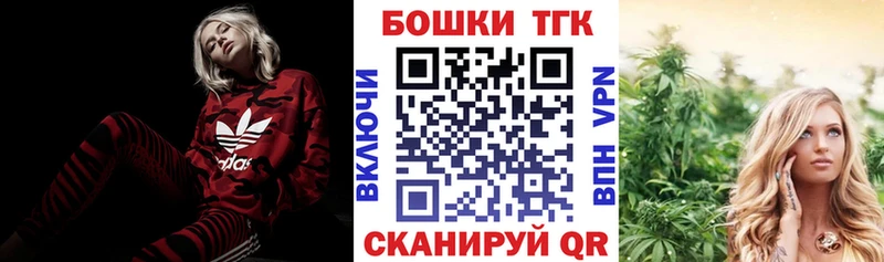 Конопля THC 21%  купить закладку  Ефремов 
